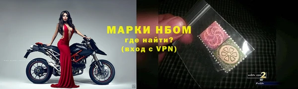 молекула духа Арсеньев