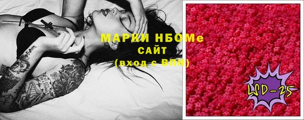 молекула духа Арсеньев