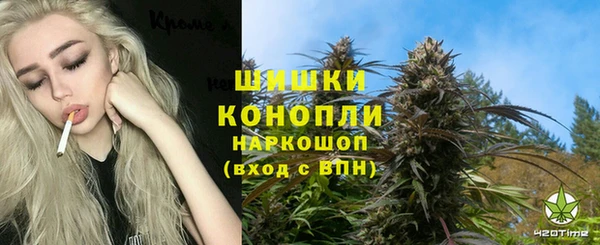 молекула духа Арсеньев