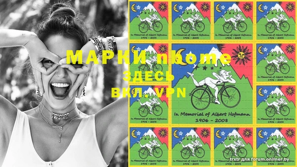 молекула духа Арсеньев