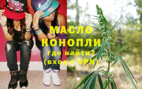 молекула духа Арсеньев