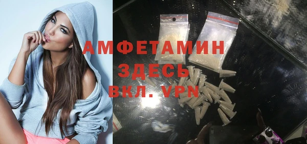 молекула духа Арсеньев