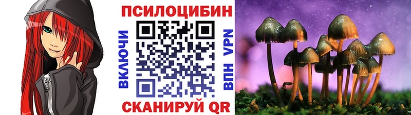 ОМГ ОМГ онион  Данков  Галлюциногенные грибы Cubensis  наркошоп 
